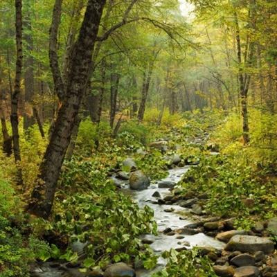 开元ky7818老版本手机app下载