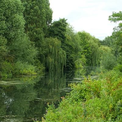 爱游戏com手机app下载