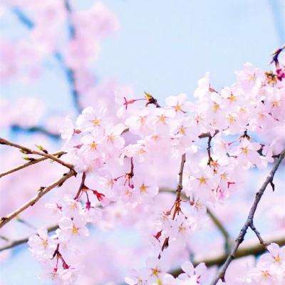 半导综合体育下载